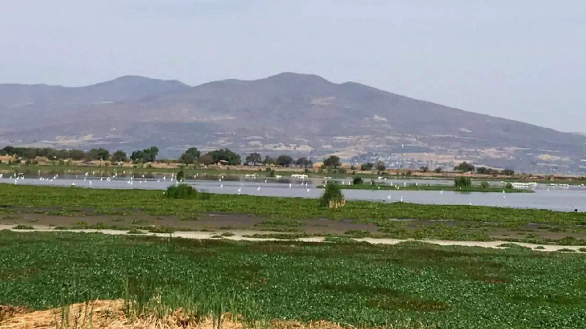 PRIORIZAREMOS NUESTRA LAGUNA DE YURIRIA ANTES QUE LA CUENCA DE CHAPALA GOBERNADOR 2